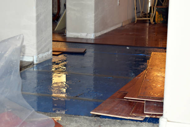 Professional Basement Flood Cleanup technician working in Derby, KS